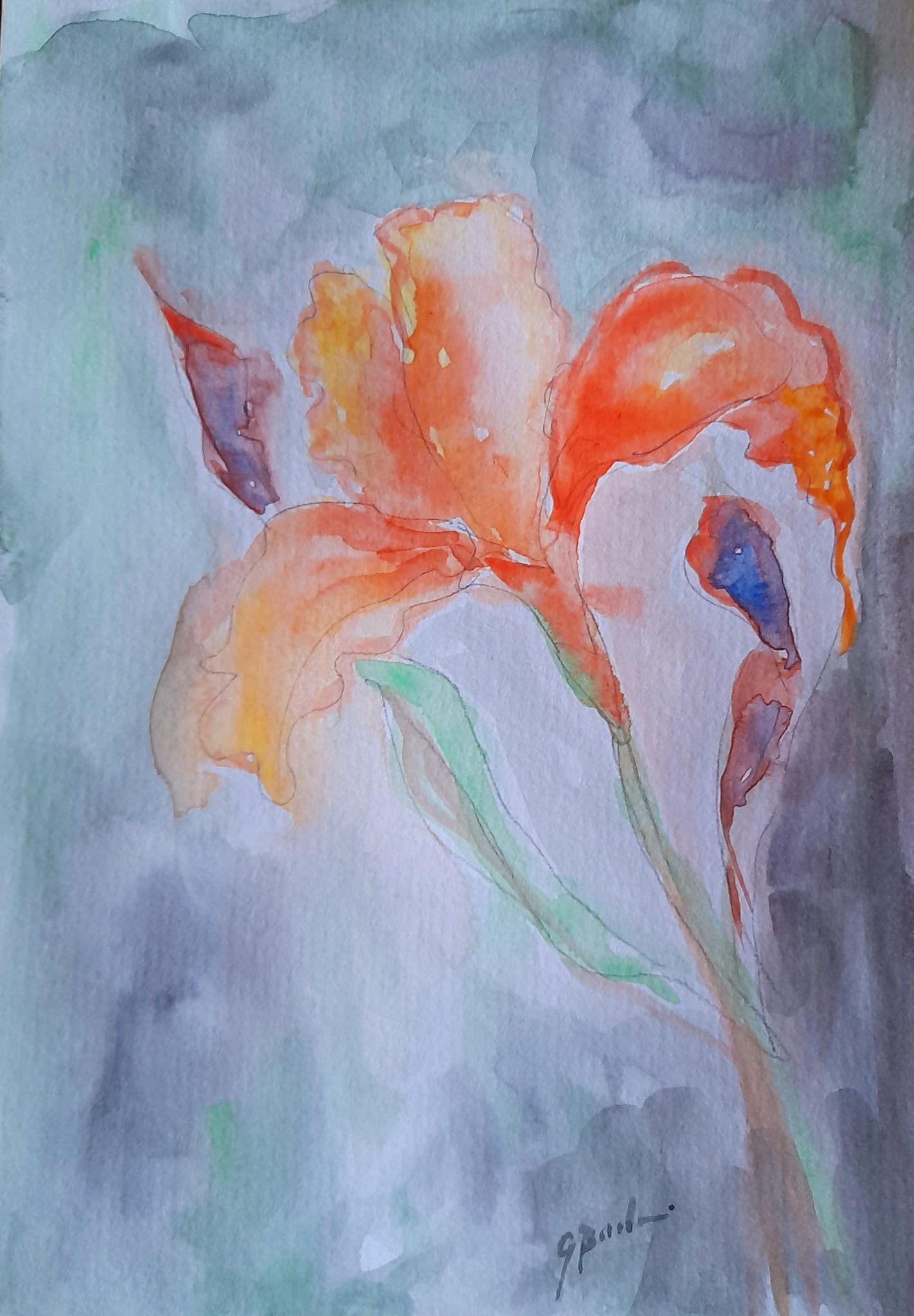 25